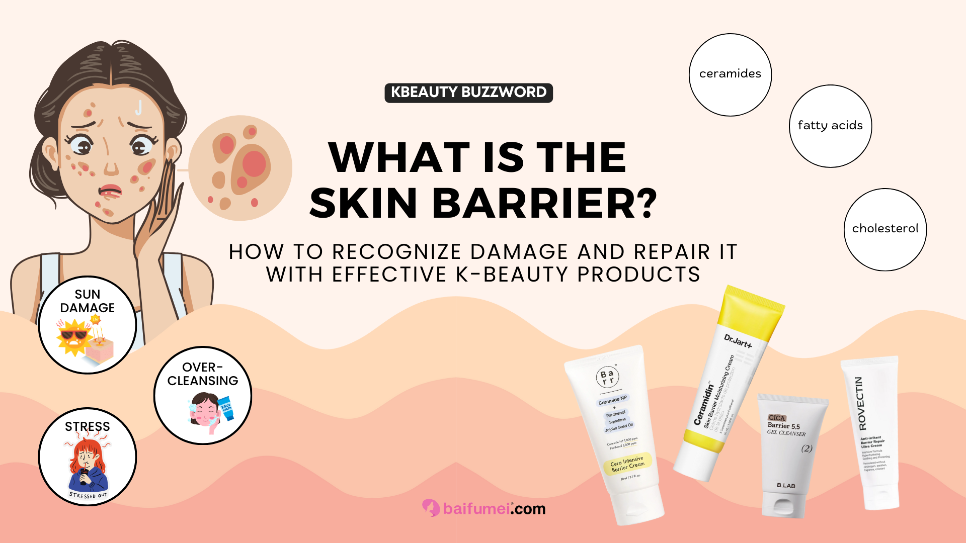 What is the Skin Barrier?