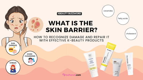 What is the Skin Barrier?